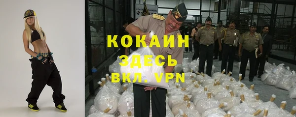 ГАЛЛЮЦИНОГЕННЫЕ ГРИБЫ Бородино