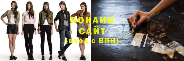ГАЛЛЮЦИНОГЕННЫЕ ГРИБЫ Бородино