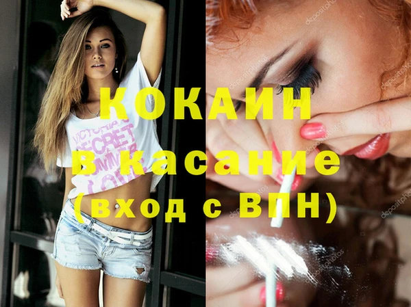 ГАЛЛЮЦИНОГЕННЫЕ ГРИБЫ Бородино