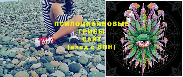 ГАЛЛЮЦИНОГЕННЫЕ ГРИБЫ Бородино